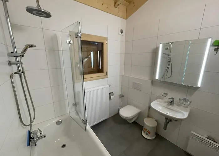 Dağ evi Beautiful Old Style 8 -12 Person With A Modern Extension La Tzoumaz