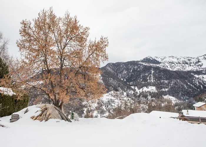 Beautiful Old Style 8 -12 Person With A Modern Extension * La Tzoumaz